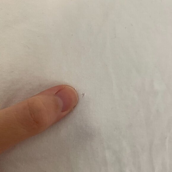 JOHN GALT BRANDY MELVILLE White Embroidered Monarch Butterfly Embroidery T-Shirt - Picture 7 of 11